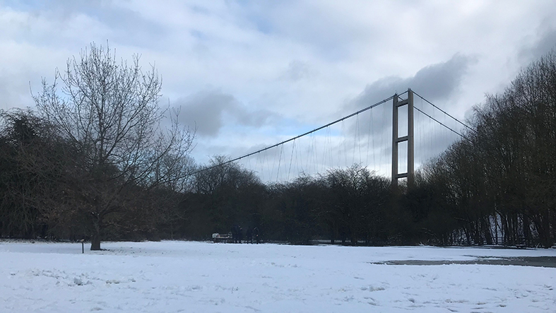 Festive Tree Decorations  – a midwinter celebration at Humber Bridge Country Park